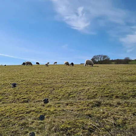 別荘 4 Person In Martofte-by Traum